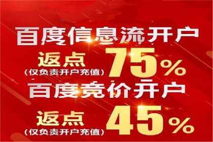 百度包年竞价案例分享：提升网站流量的秘诀